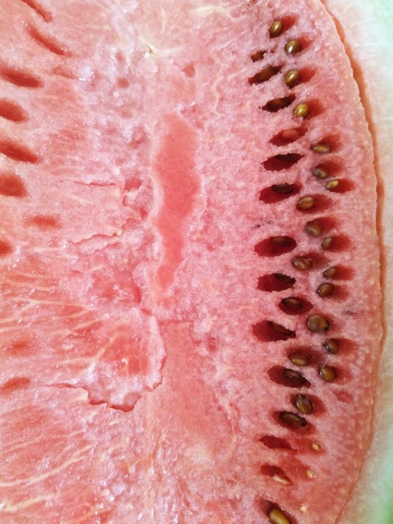 西瓜硒砂瓜来自内蒙古
