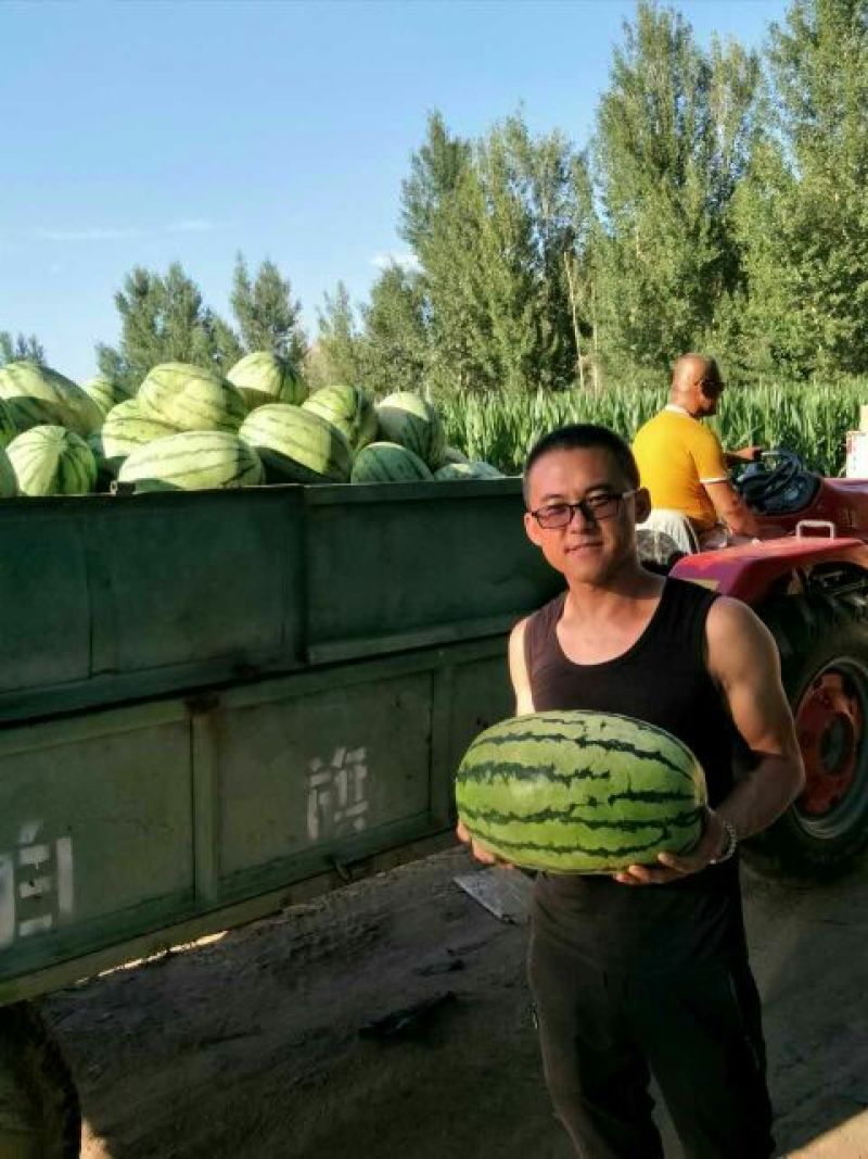 西瓜硒砂瓜来自内蒙古