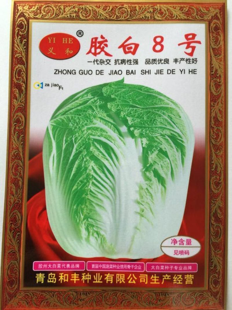 白菜种子