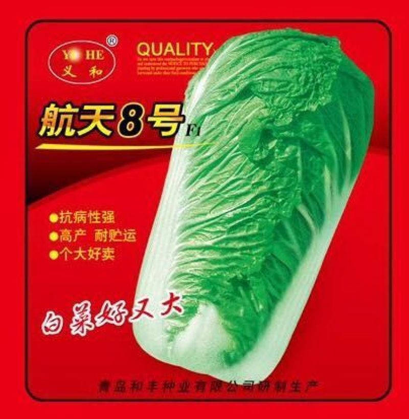 白菜种子