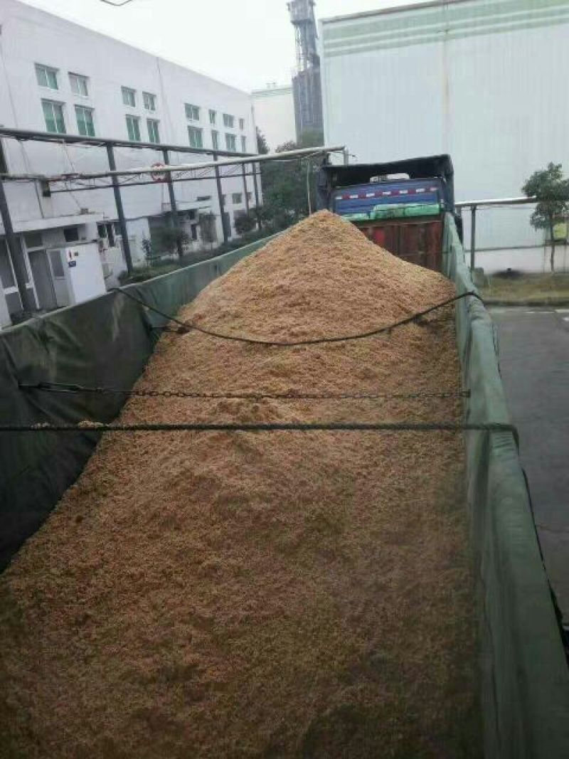 牛饲料3个月