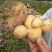 土豆次货1两以下