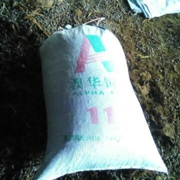 禽畜粪便
