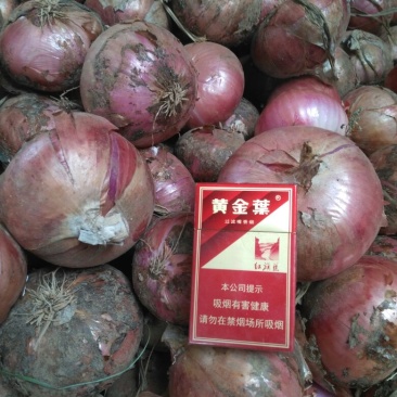 红皮洋葱8厘米以上