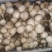 鲜草菇88%一级