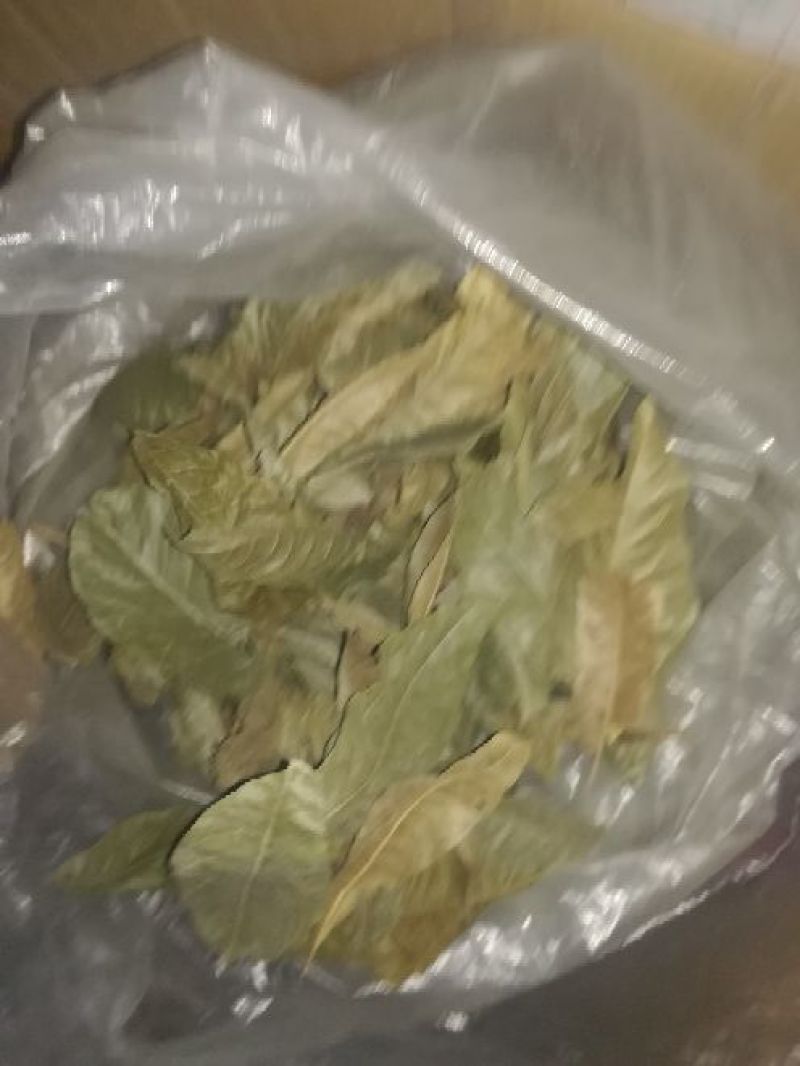青钱柳茶三级