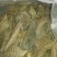 青钱柳茶三级