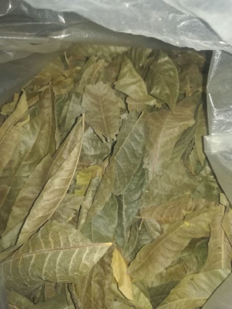 青钱柳茶三级