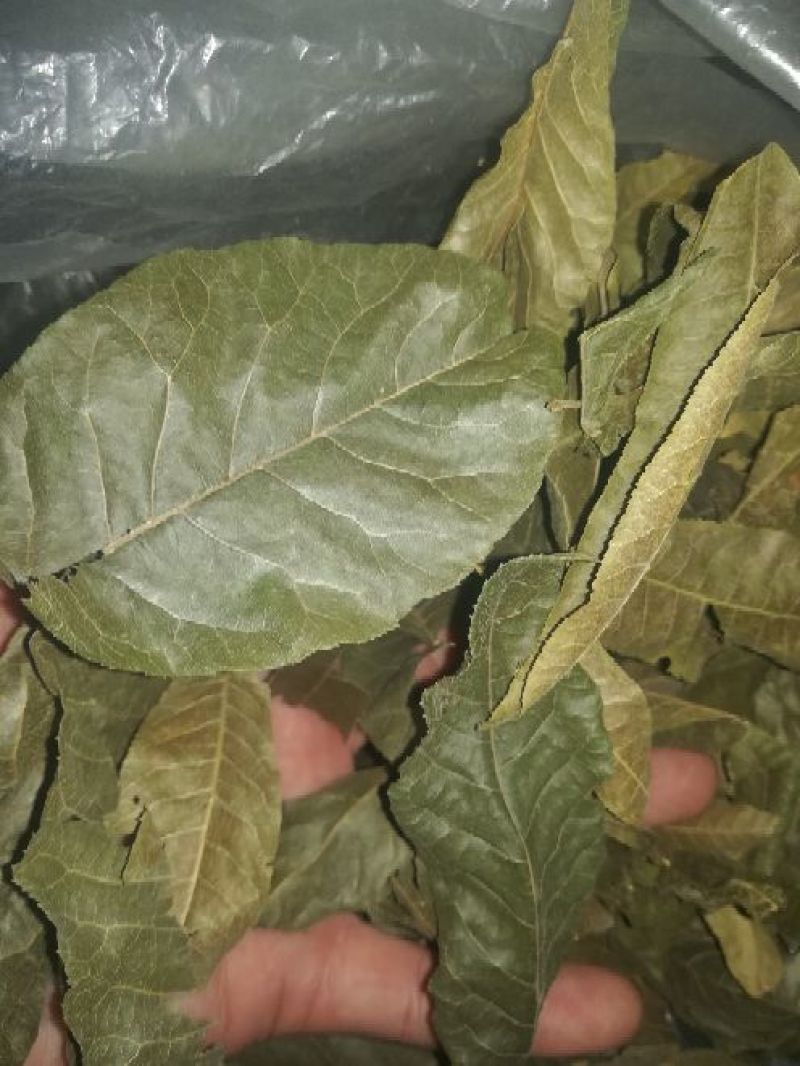 青钱柳茶三级