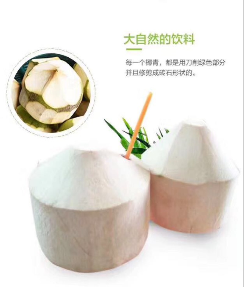 海南椰子4~5斤