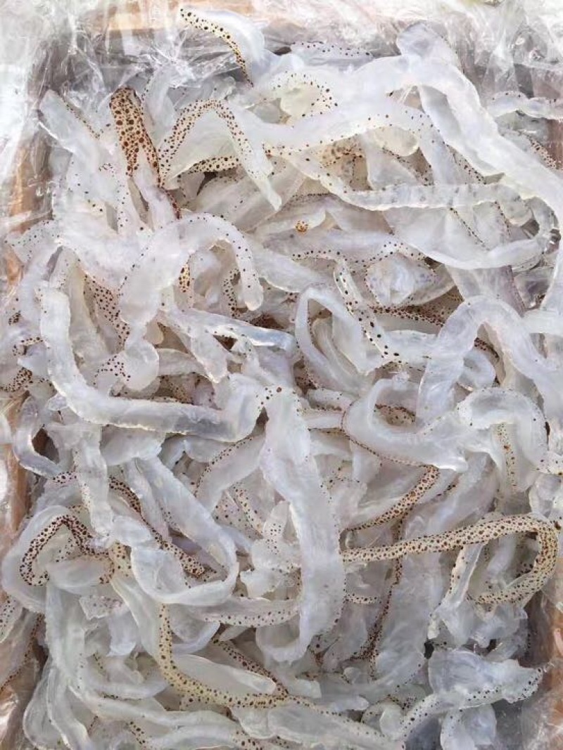海蜇食用鲜活