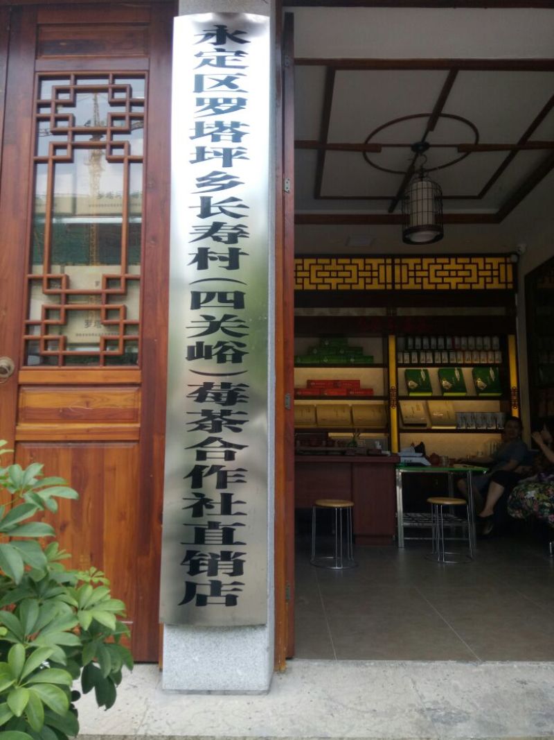 藤茶一级