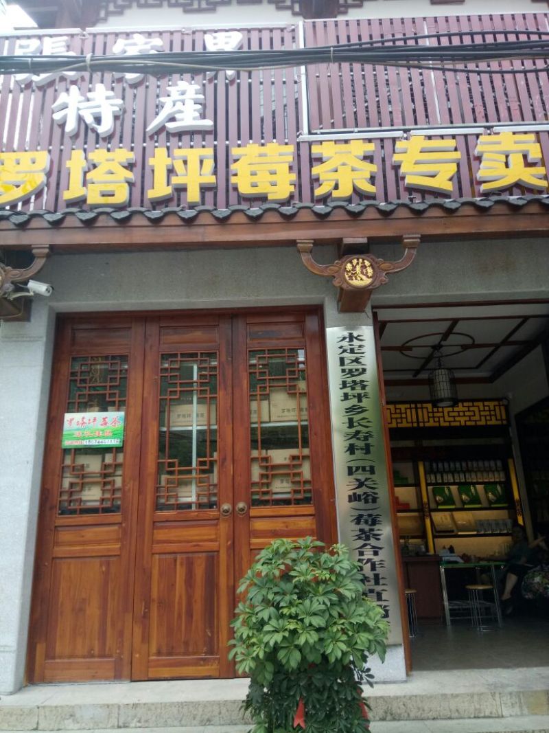 藤茶一级