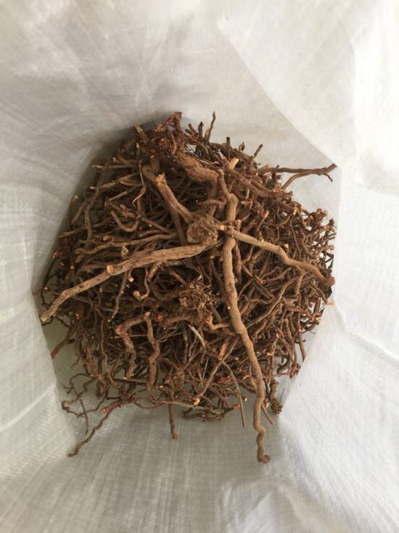 茜草