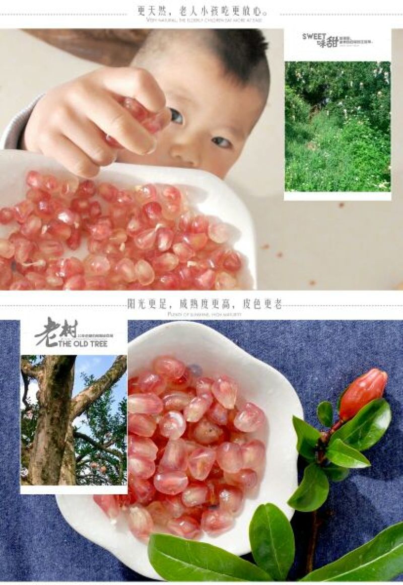 石榴6两~8两