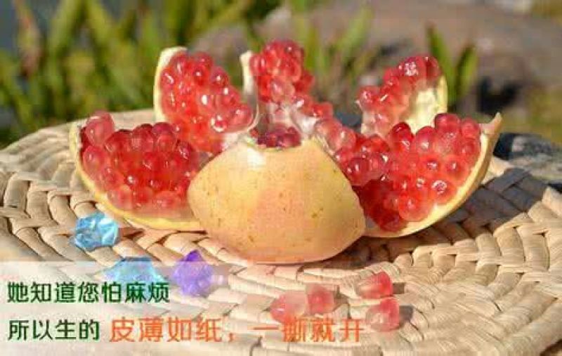 石榴6两~8两