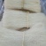 粉干