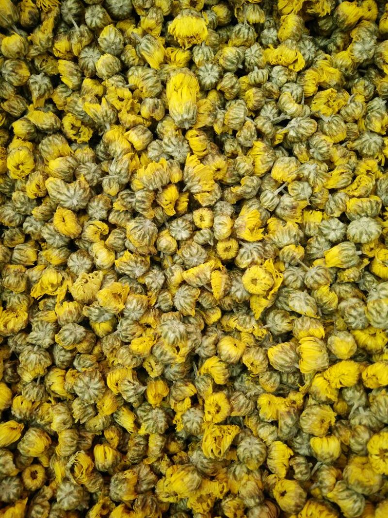 菊花茶特级