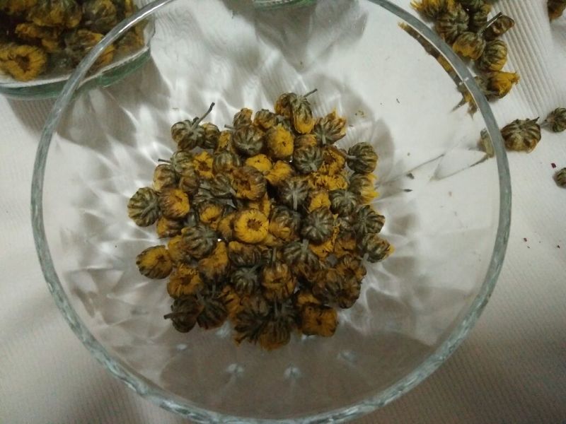 菊花茶特级