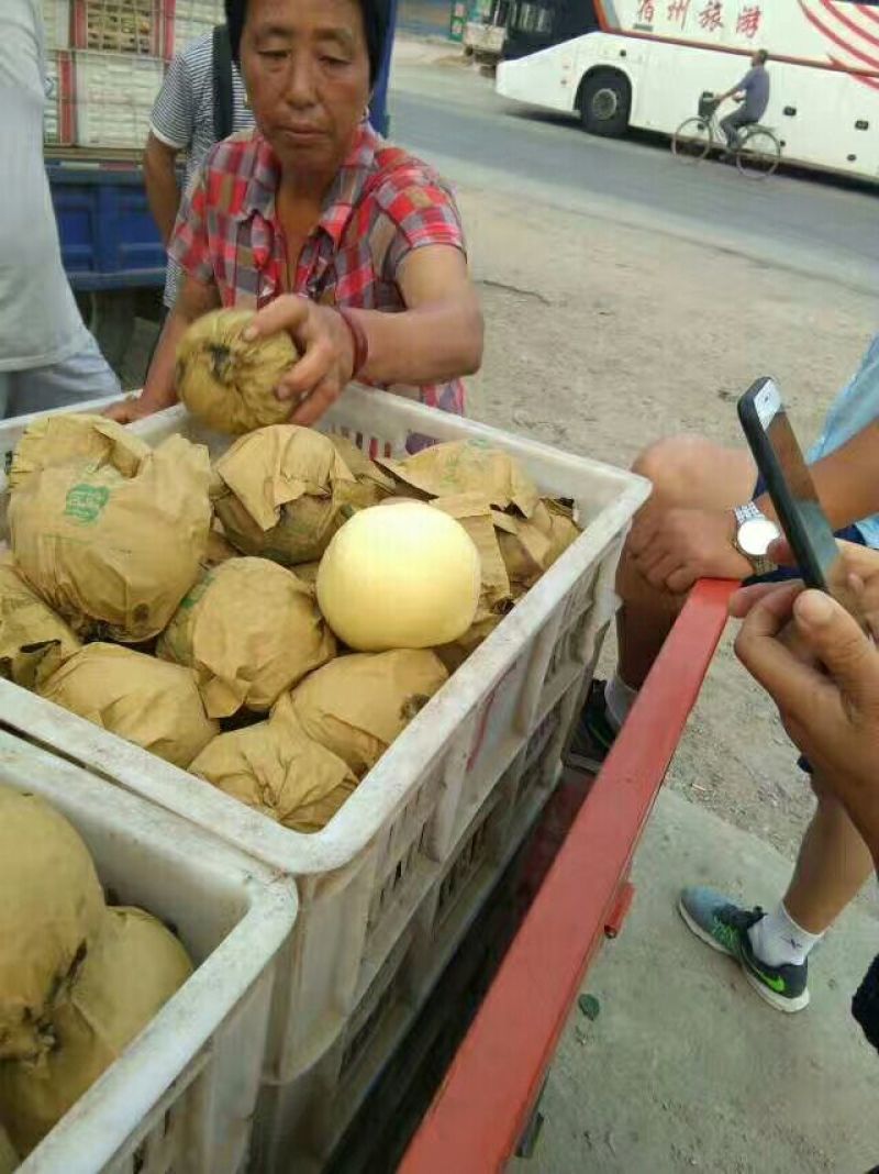 皇冠梨，安徽砀山黄冠梨，口感脆甜250~300g筐装