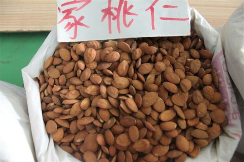 苦杏仁山桃仁