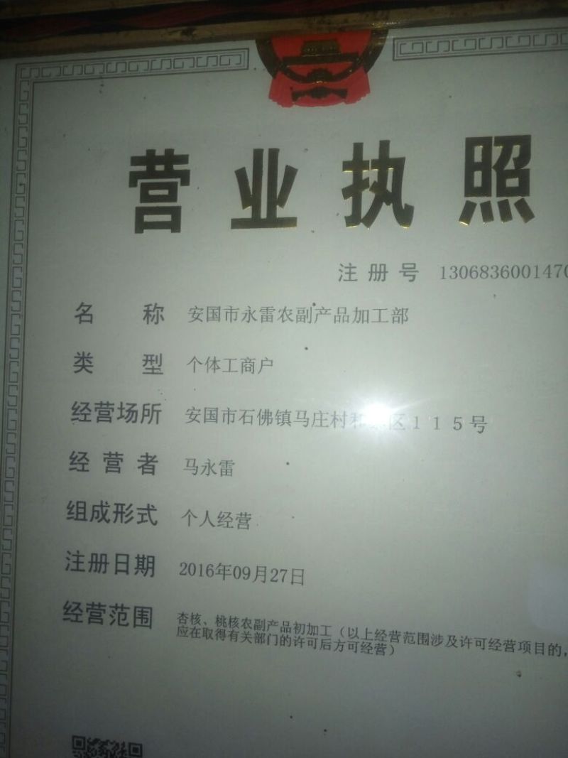 苦杏仁山桃仁