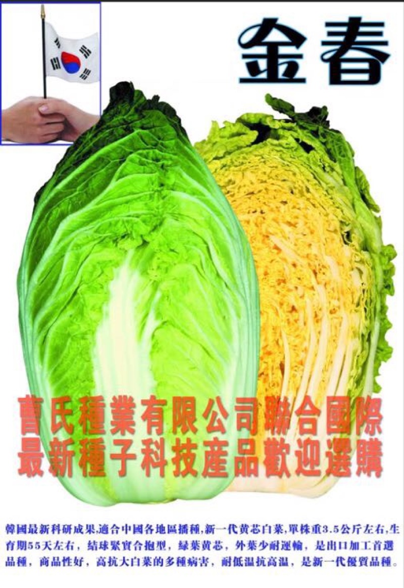 白菜种子