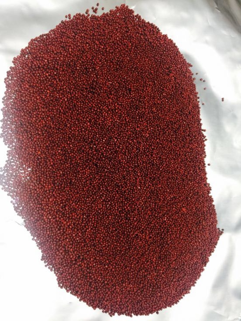 白菜种子