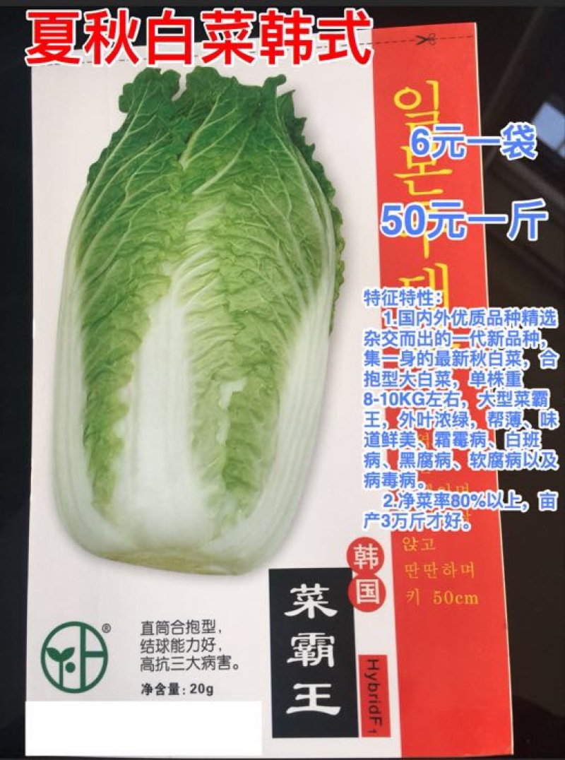 白菜种子