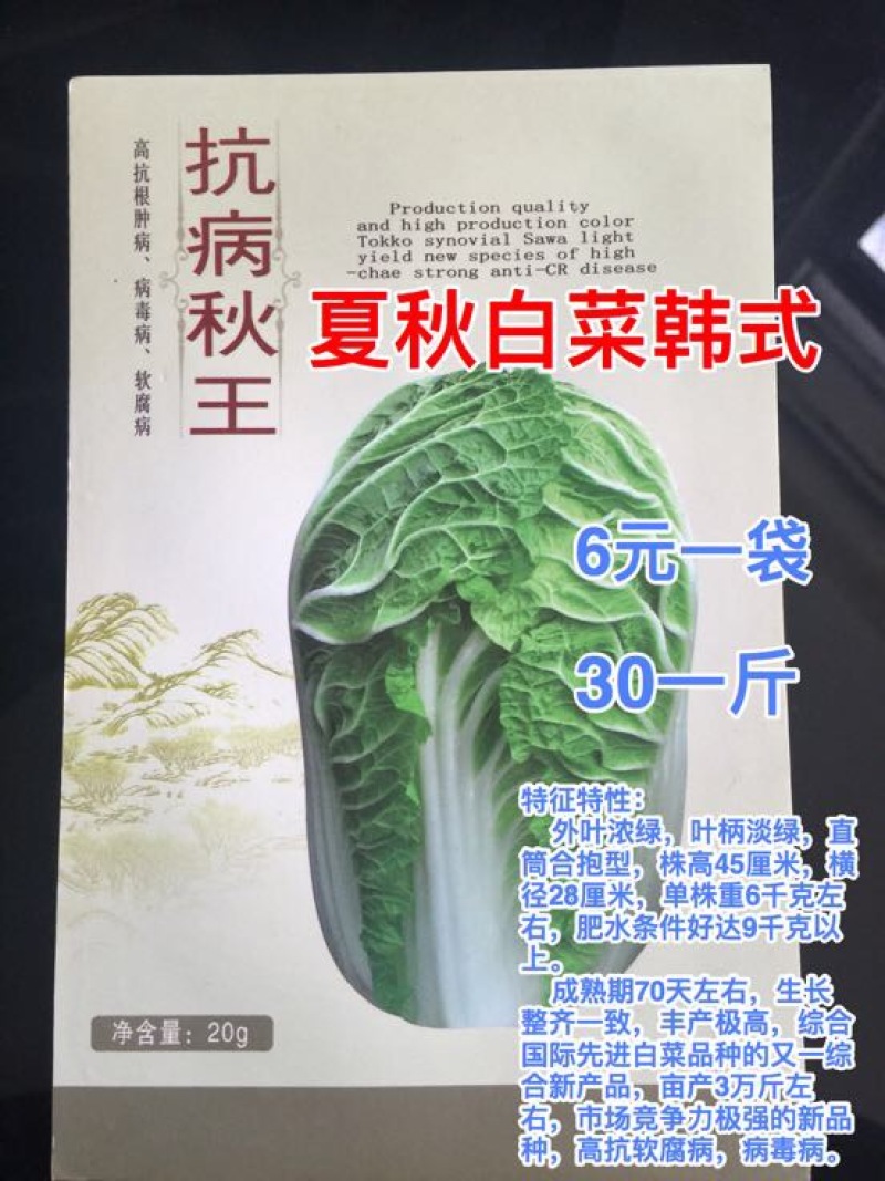 白菜种子