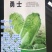 白菜种子