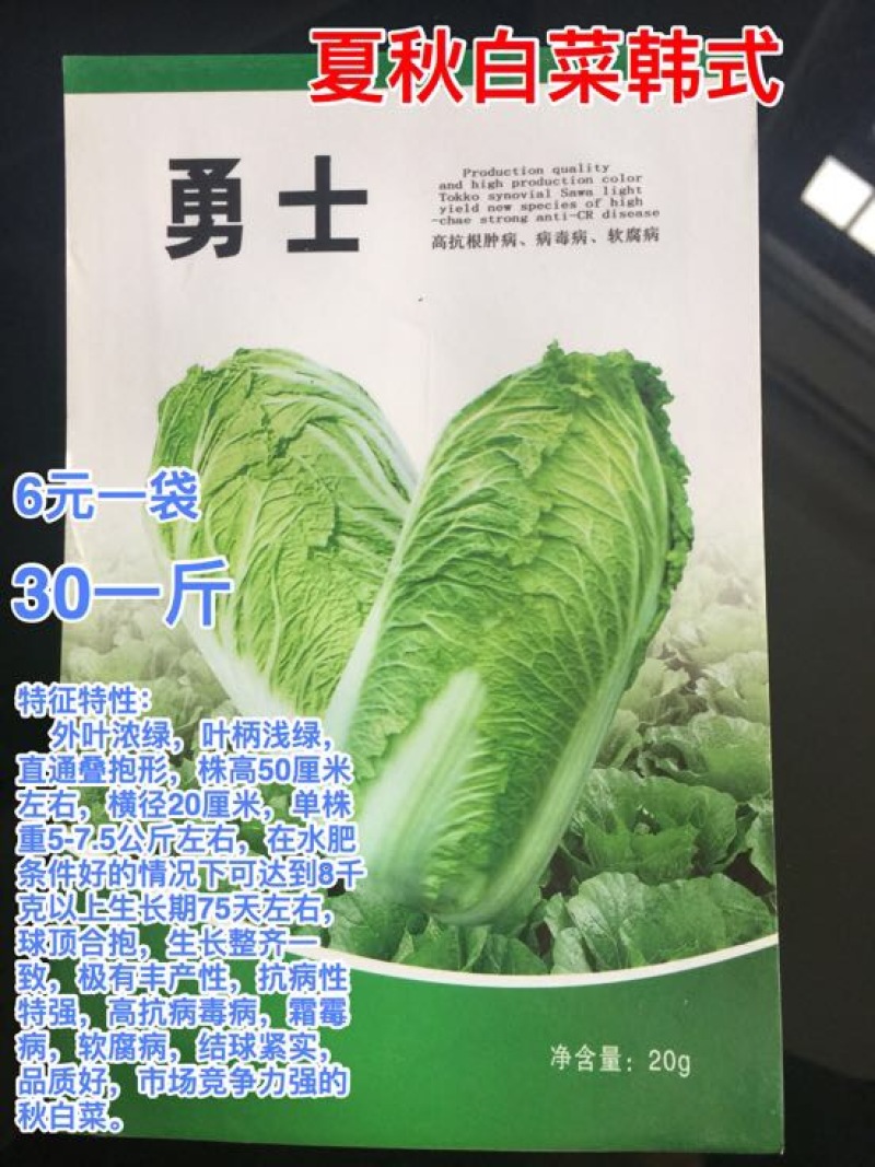白菜种子