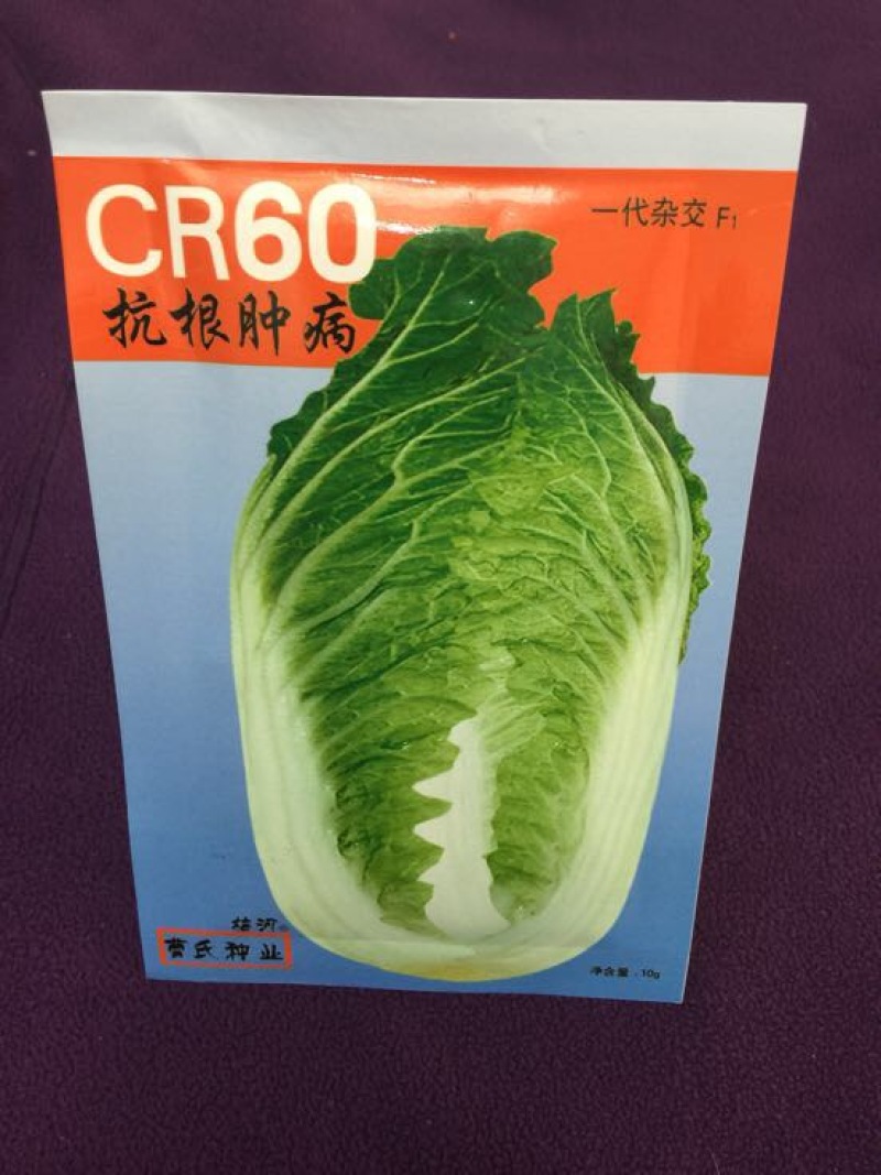 白菜种子