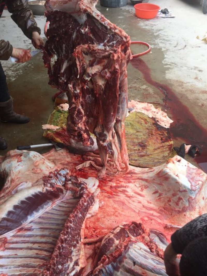 驴肉鲜货