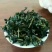 观音茶特级