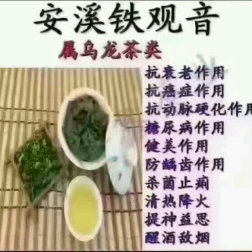 观音茶特级