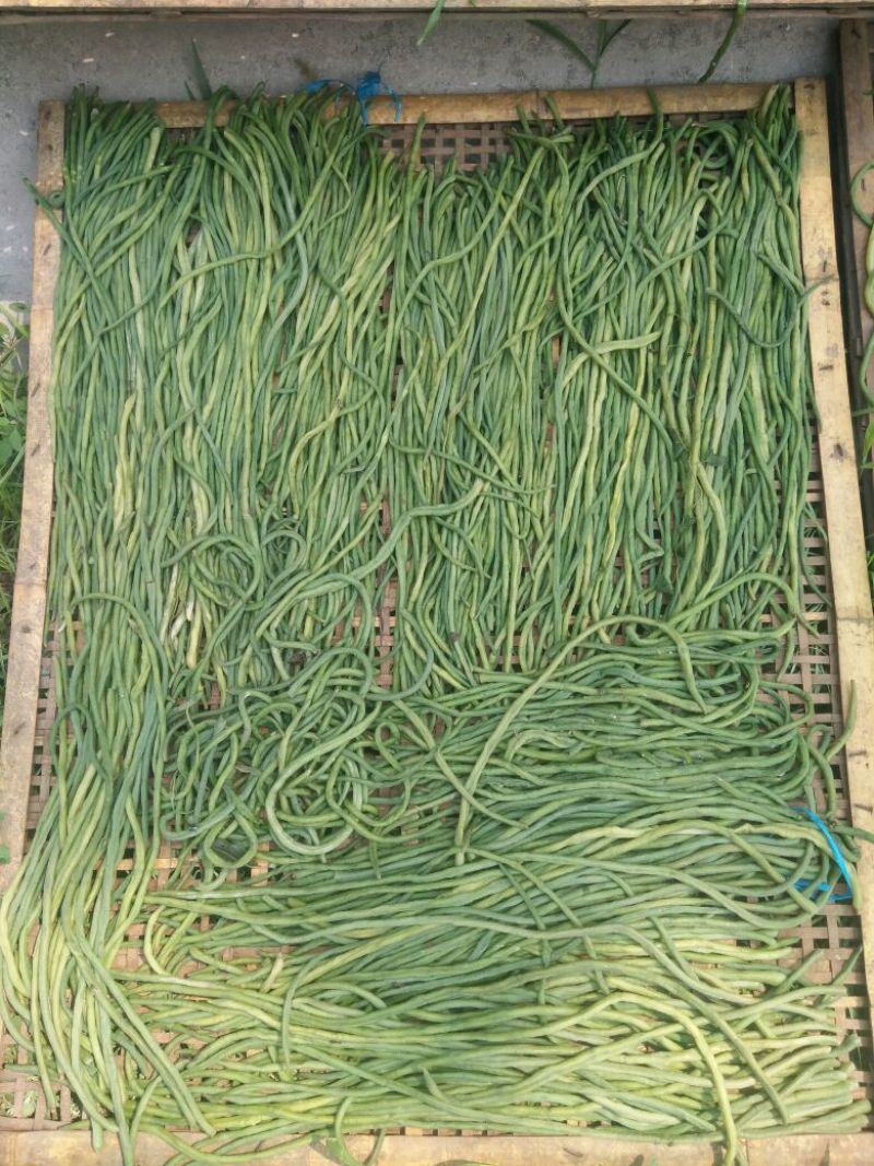 脱水长豆角