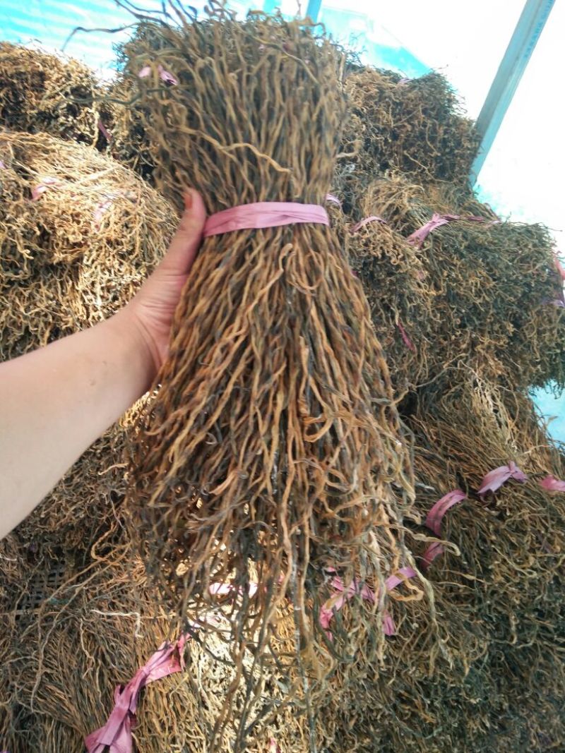 脱水长豆角