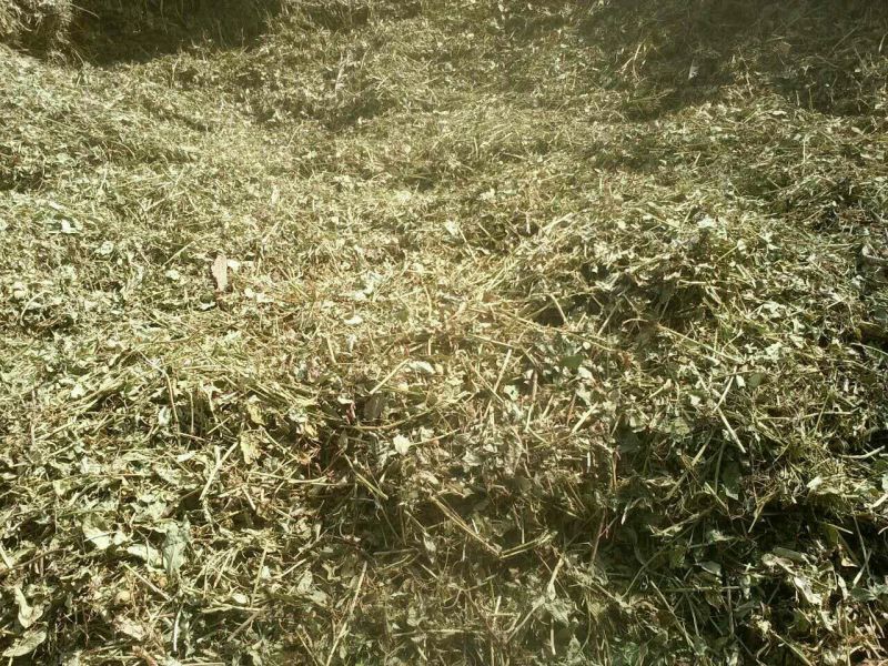 花生糠细糠