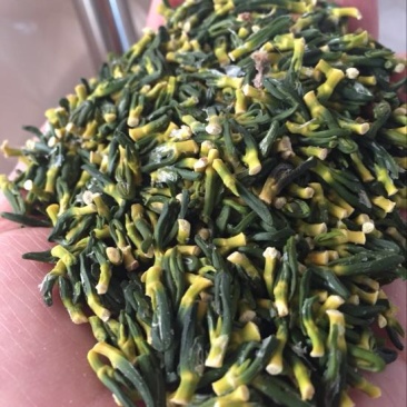 莲子芯