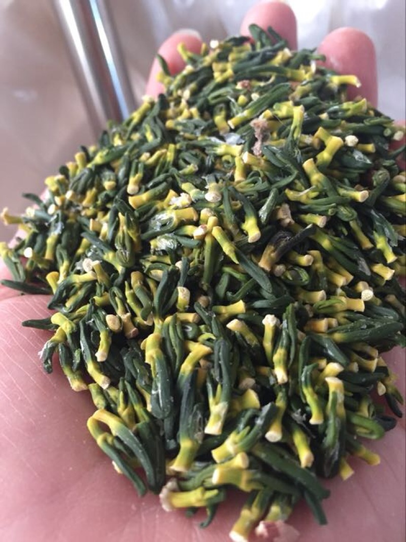 莲子芯