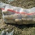 荷兰十五土豆通货2两以上