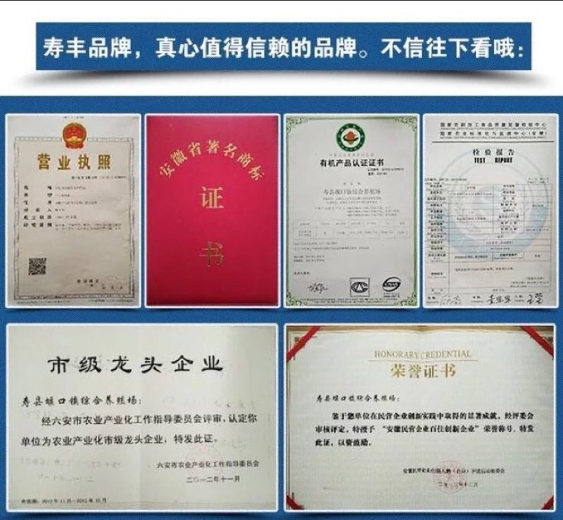 甲鱼苗鱼苗
