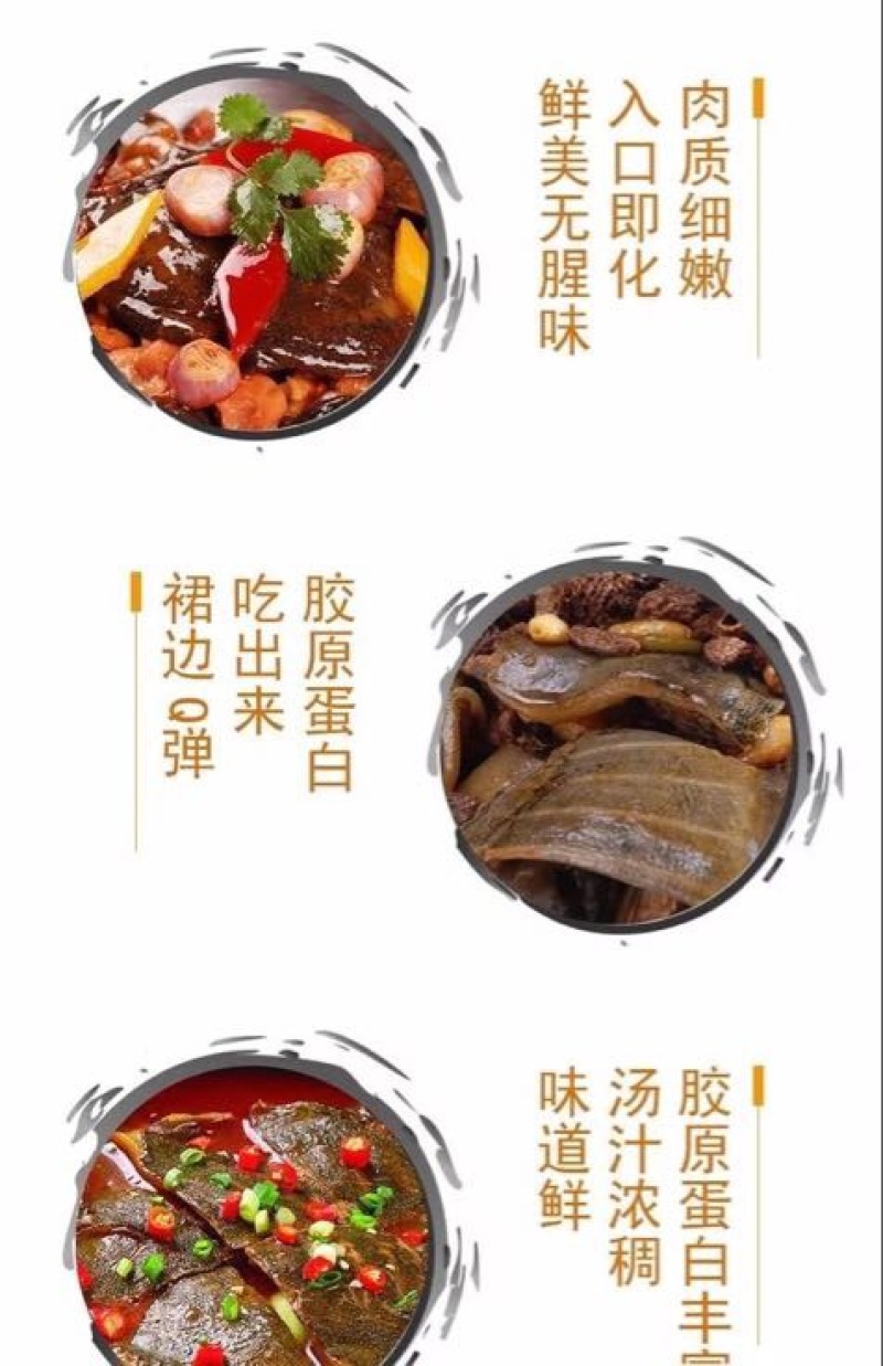 生态甲鱼2~2.5斤