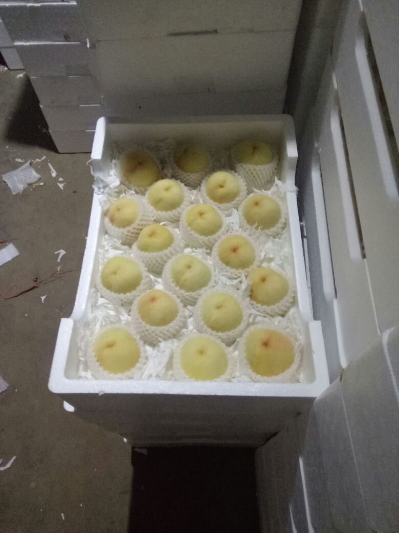 白桃蒙阴蜜桃支持视频看货产地直发，对接电商平台支持一件代