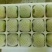 皇冠梨300~350g筐装