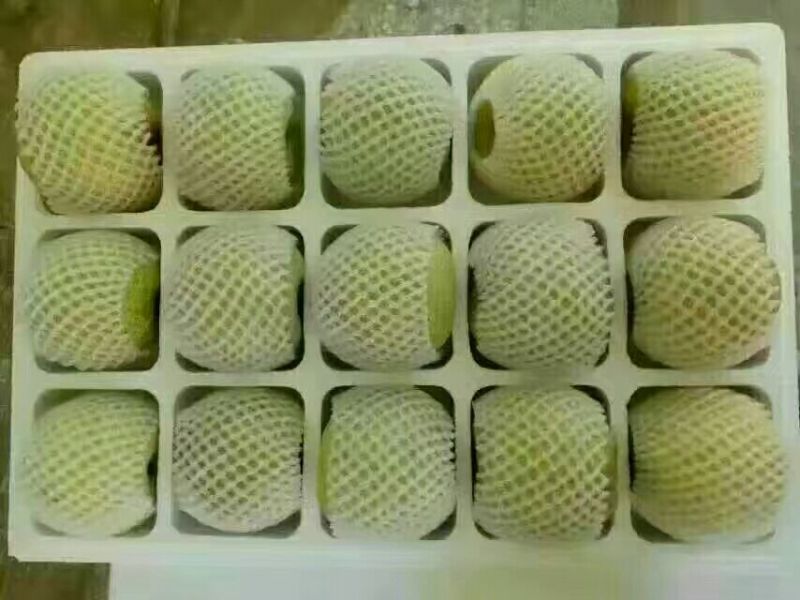 皇冠梨300~350g筐装