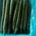 刺黄瓜鲜花带刺18~22公分