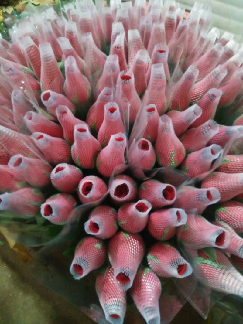 玫瑰鲜切花20朵
