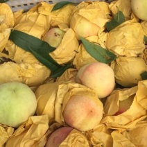 奉化水蜜桃60mm以上